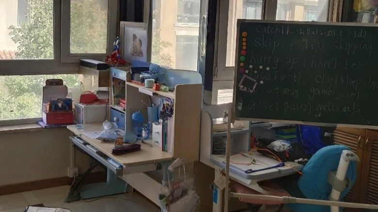 Liwan Flamenco - View 3