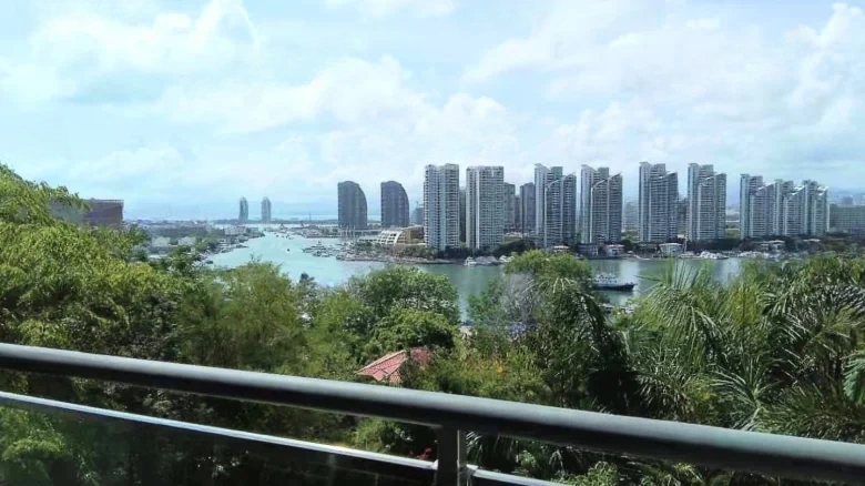 Dadonghai Half Mountain One Plus - View 8