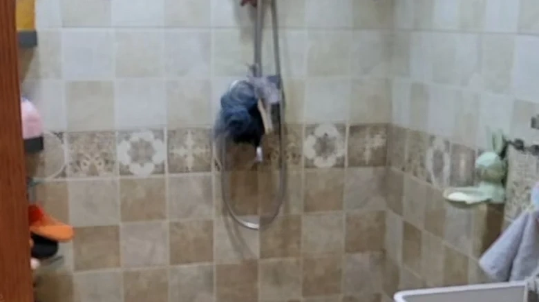 JinDi Artistic Vision - View 9