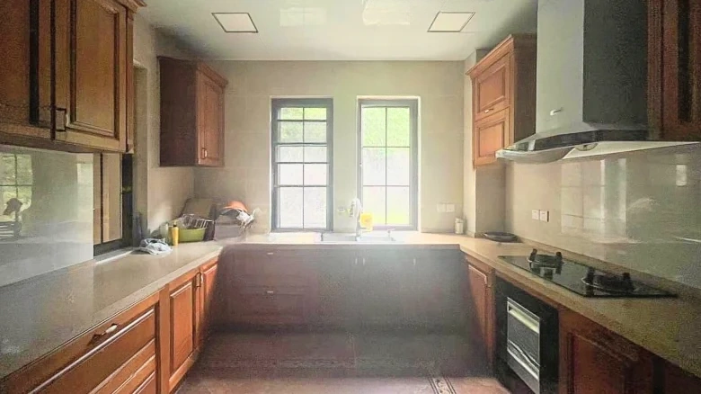 Dream Stream Lake Manor - View 24