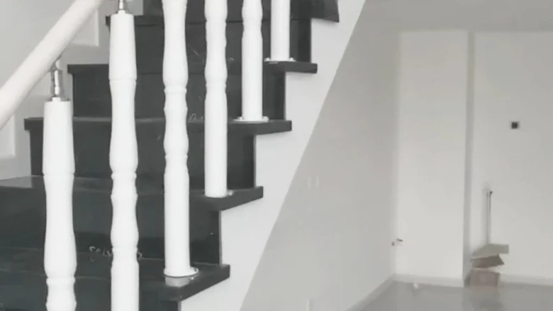 CRMSC Tianwan Cloud Seal - View 3