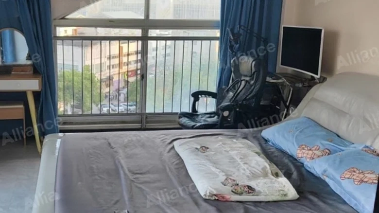 Jinlun Garden - View 9