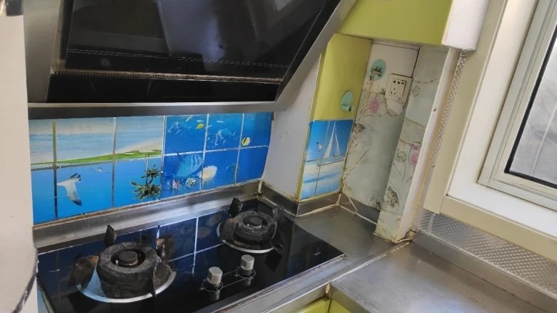 Mingjia Garden Phase One - View 4