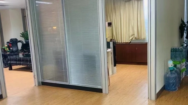 Silver Lion Plaza - View 8