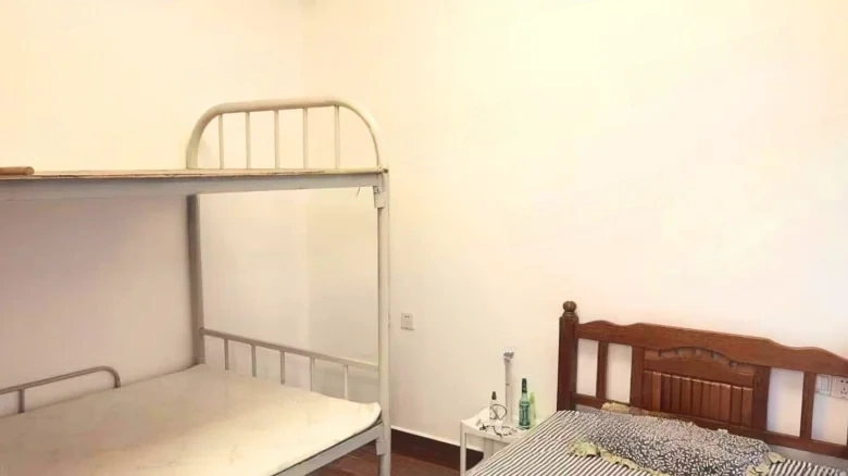 Liantou · Hibiscus Rhythm - View 4