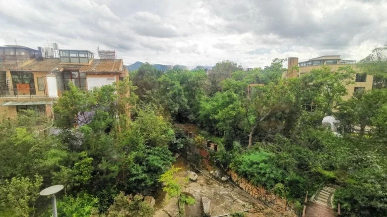 Dianchi Stream Valley - View 19