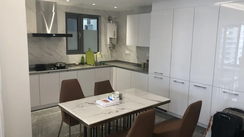 Artistic Hibiscus - View 5