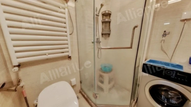 Luhu Aodong 11号 - View 5