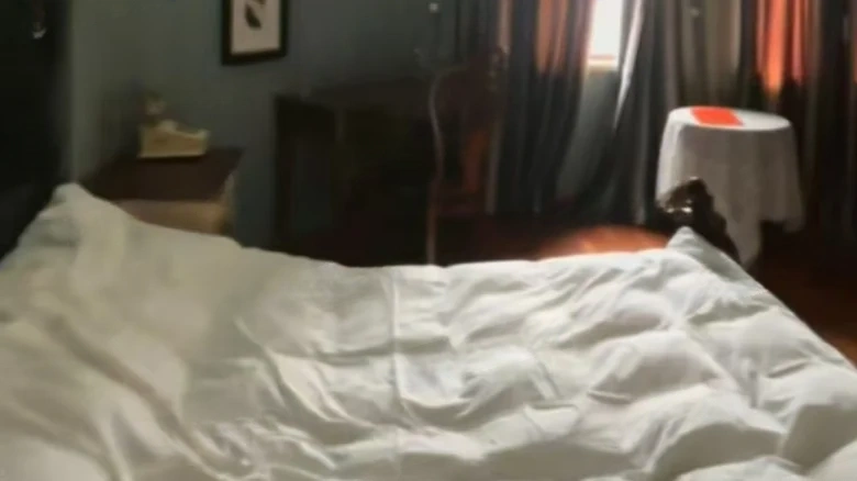 Schönbrunn Imperial Crown Garden - View 2