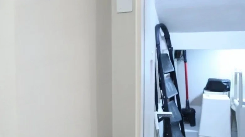 Peace Garden - View 24