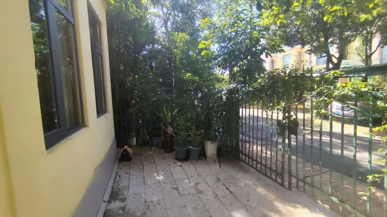 Dianchi Forest - View 22