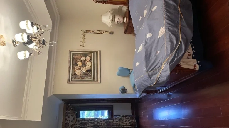 Fusion Technology Oakwood Lakefront - View 11