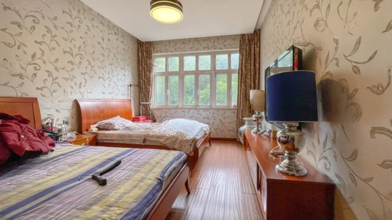 Zhongshan Mei Lu - View 5