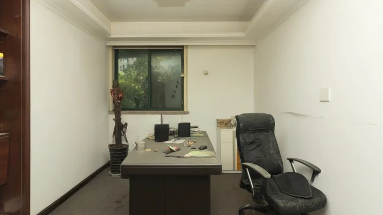 Tongren Garden - View 5