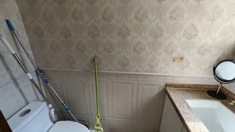 Midi Manor - View 11