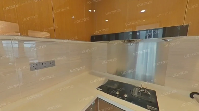 Fuyihua Court S District - View 6