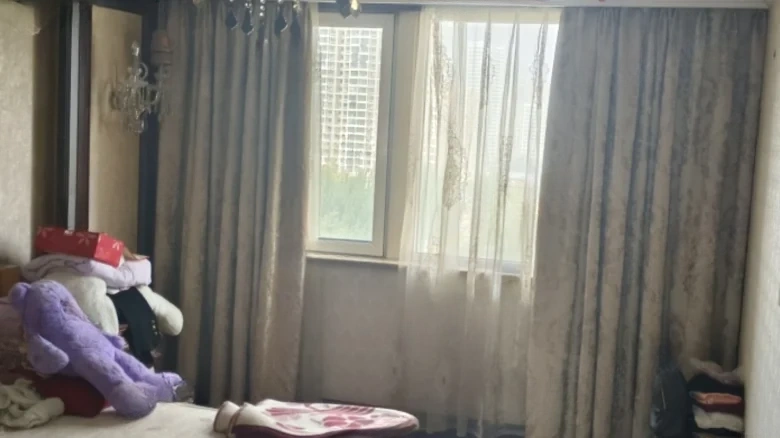 Wanda Mansion - View 2