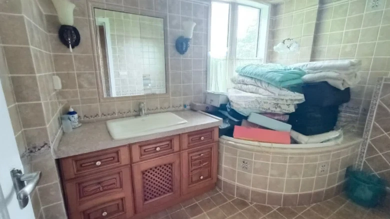 Dianchi Nanjun - View 11