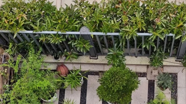 Violet Bamboo Cloud Mountain Villa - View 7