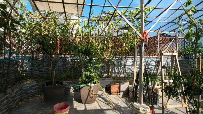 Bao Li Tang Yue Xing Yuan - View 25