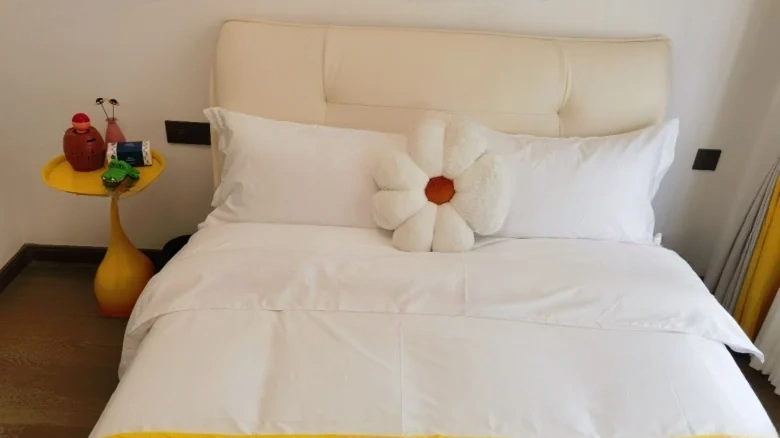 Vanke 500 Li - View 8