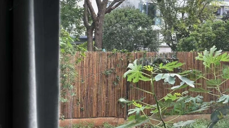 China Railway Nodewind Mountain Sea Spring Breeze - View 4