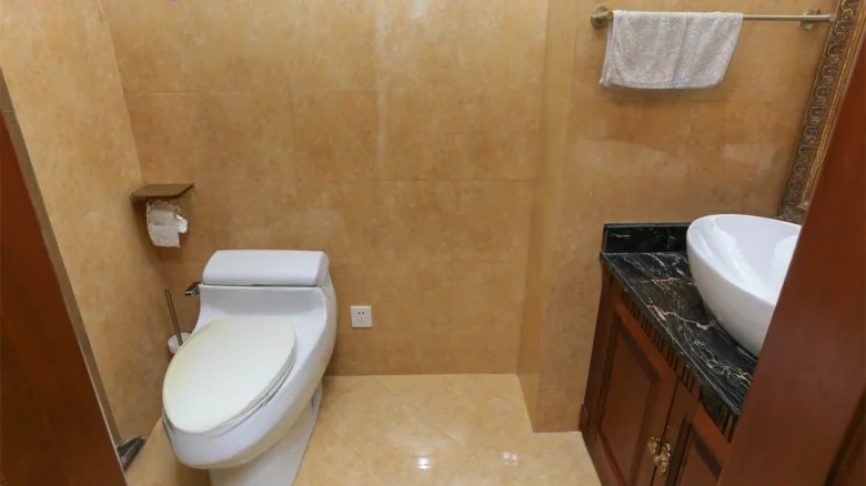 Shanghai Green City - View 13