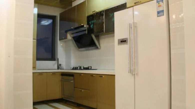 Shimao New Wulihu - View 5