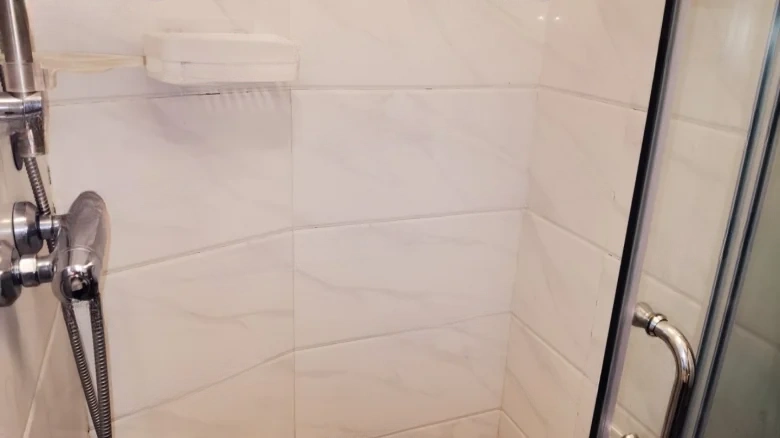 Country Garden·Ziva Song - View 13