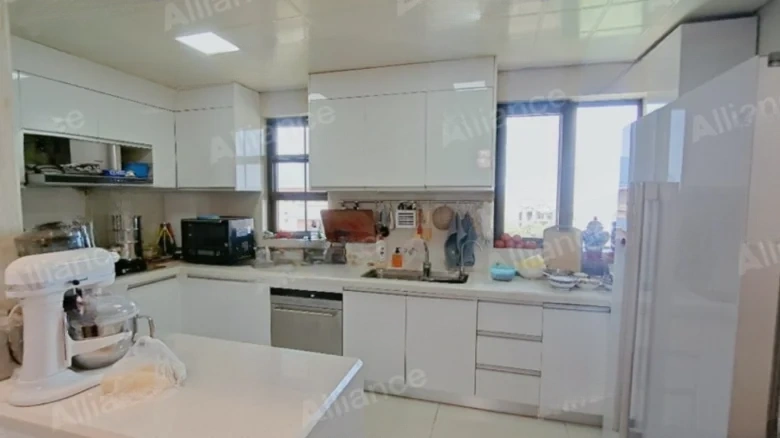 Monta Stream Park 1903 - View 9