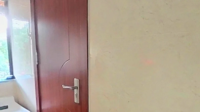 Tiger踞Bridging Road - View 7