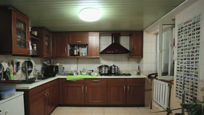 Changchun Pearl Gem - View 13