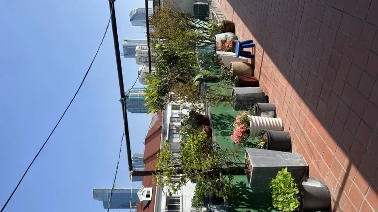 Gubai Residential Area - View 8