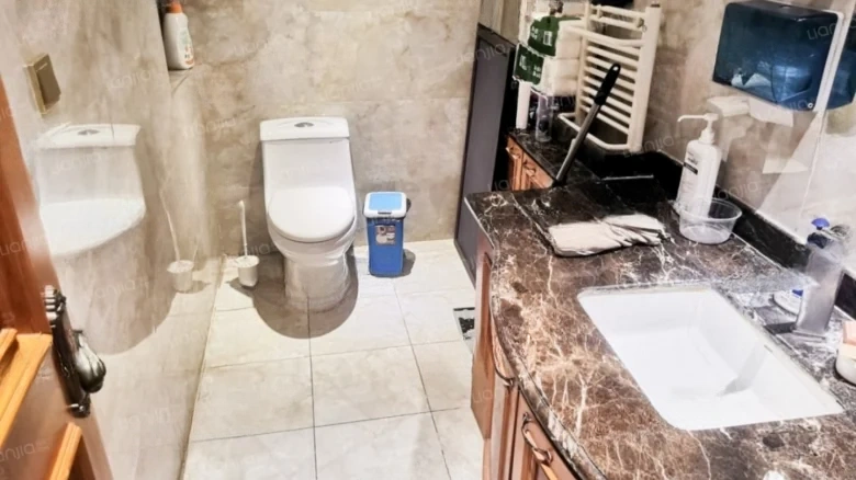 Zhonghai International Platinum Palace Villas West District - View 9