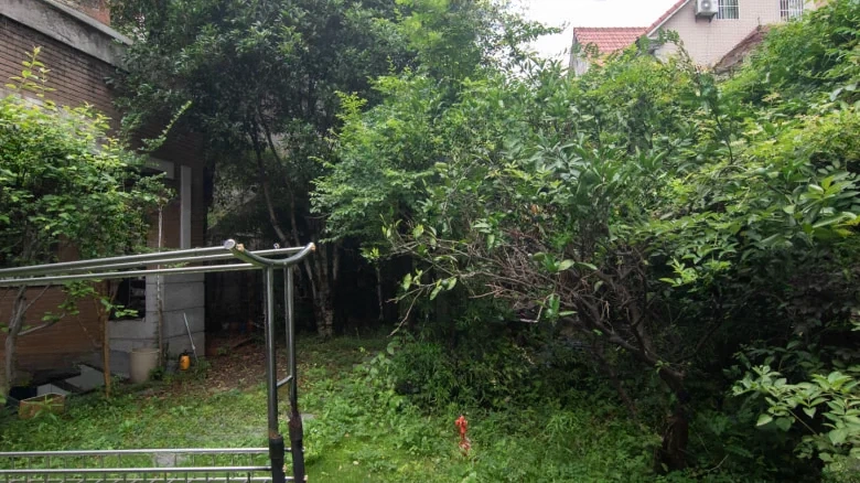 E Jun Garden - View 18