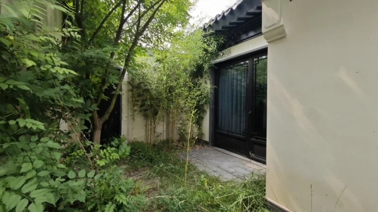 Ink Stream Lake - View 19