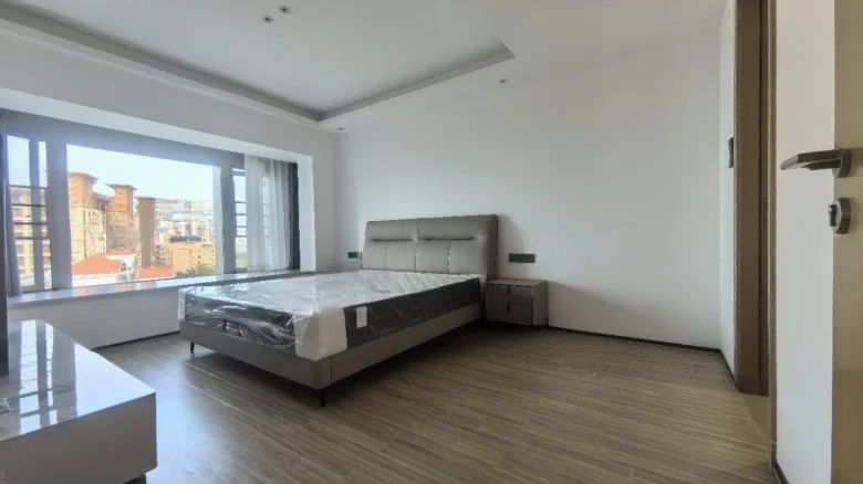 Vanke Sea Metropolis - View 2