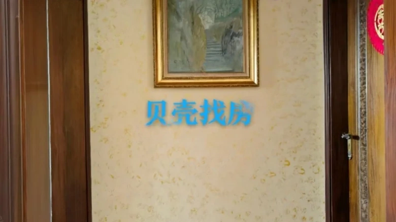 Dolphin Bay - View 4