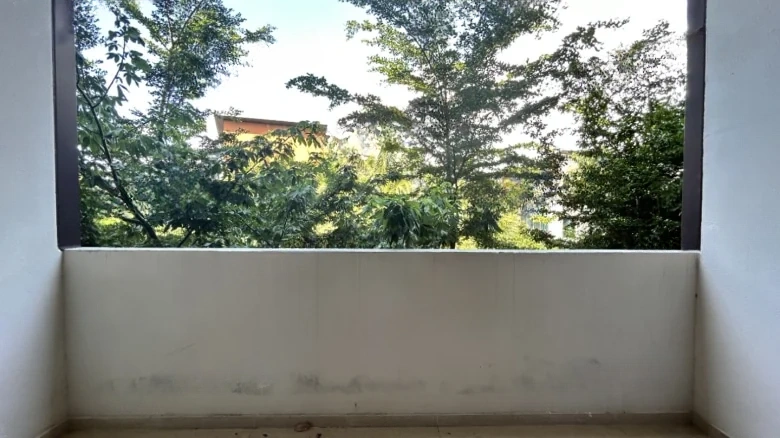 Liantou · Haitang Tuning - View 7