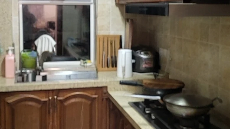 JinDi Artistic Vision - View 8