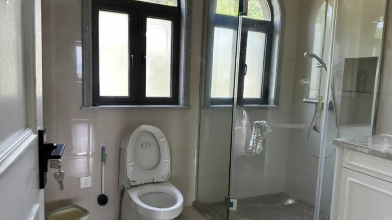 Green City Dragon King Stream Town - View 8