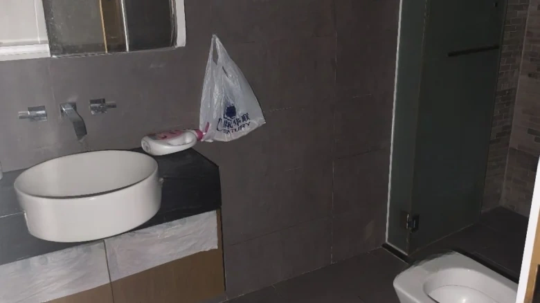 Pearl River Lihao - View 4