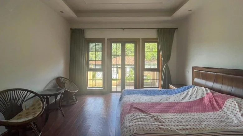 Dream Stream Lake Manor - View 11