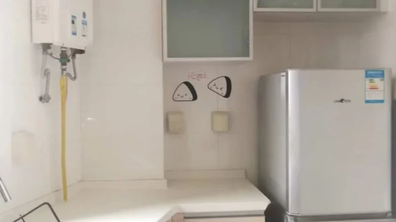 Sun Star Garden Lake Borough - View 11