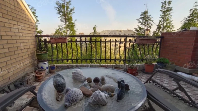 Rena Garden - View 14