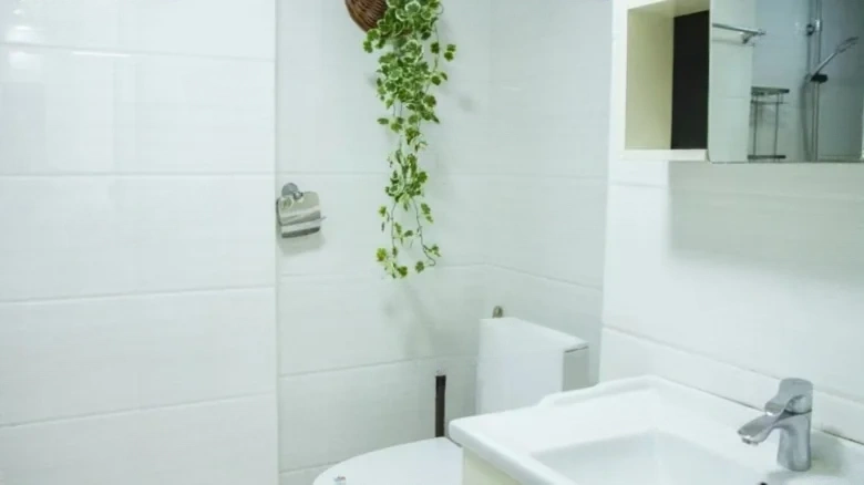 Wanke Sea Metropolis - View 8