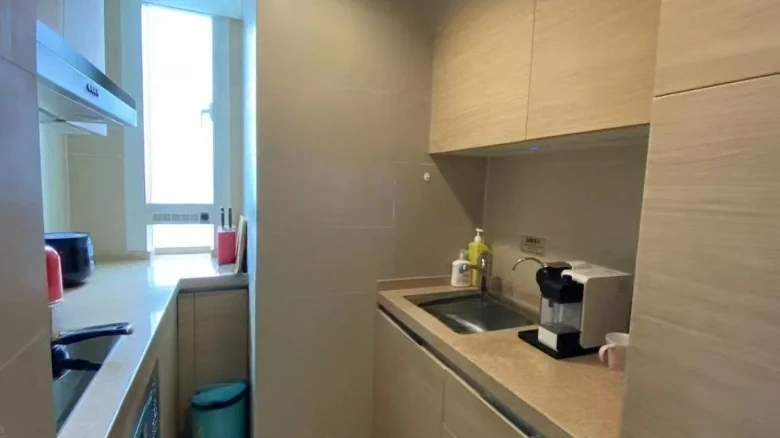 Iron Lion Gate Crystal Fusion Hub - View 4