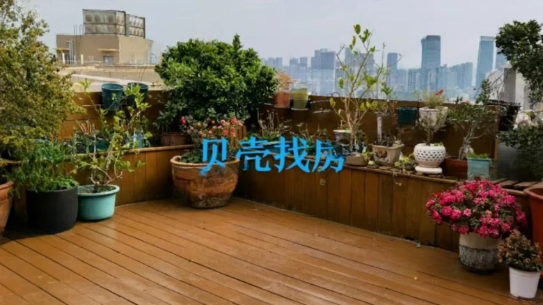 Dolphin Bay - View 13