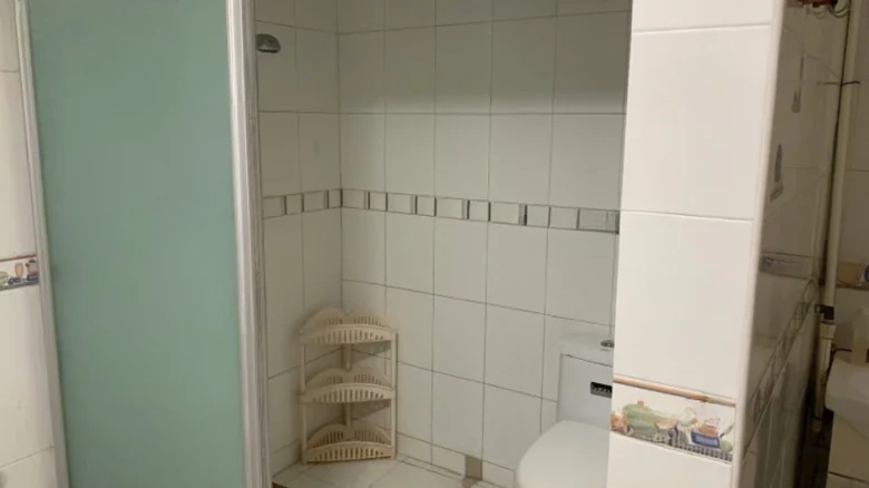 White Jade Tower Complex - View 4