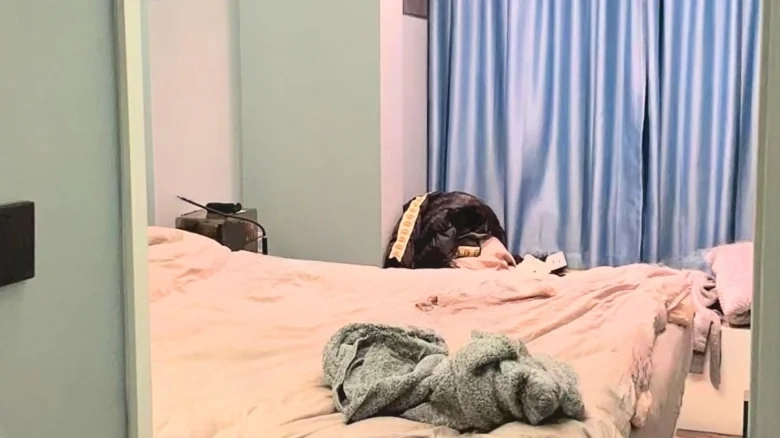 Bailu Li Apartments - View 2